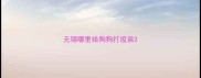 无锡哪里给狗狗打疫苗