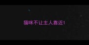 猫咪不让主人靠近