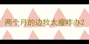 两个月的边牧太瘦咋办