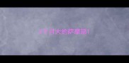 2个月大的萨摩耶
