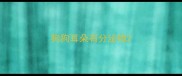 狗狗耳朵有分泌物