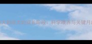 杜宾犬从幼犬到成犬的成长阶段科学喂养与关键月龄管理指南