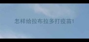 怎样给拉布拉多打疫苗