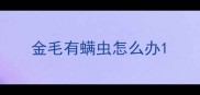 金毛有螨虫怎么办