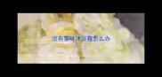没有猫咪沐浴露怎么办
