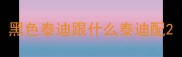 黑色泰迪跟什么泰迪配