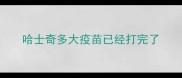 哈士奇多大疫苗已经打完了