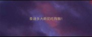 泰迪多大断奶吃狗粮