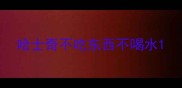 哈士奇不吃东西不喝水