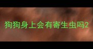 狗狗身上会有寄生虫吗