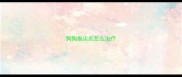 狗狗指尖炎怎么治疗
