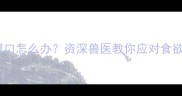 猫咪夏天没胃口怎么办资深兽医教你应对食欲不振全攻略