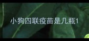 小狗四联疫苗是几瓶