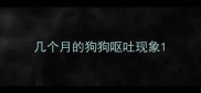 几个月的狗狗呕吐现象