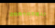 边牧两个月不理人