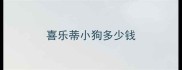 喜乐蒂小狗多少钱