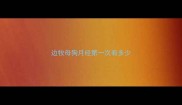 边牧母狗月经第一次有多少
