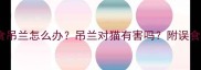 猫咪误食吊兰怎么办吊兰对猫有害吗附误食急救指南
