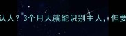 泰迪犬什么时候开始认人3个月大就能识别主人但要注意这3个关键期