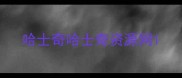 哈士奇哈士奇资源网