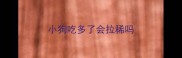 小狗吃多了会拉稀吗