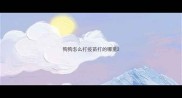 狗狗怎么打疫苗打的哪里