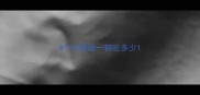 8个月泰迪一顿吃多少