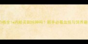 哈士奇价格全1w内能买到纯种吗新手必看血统与饲养避坑指南