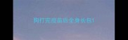 狗打完疫苗后全身长包