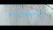 两个月的萨摩耶干咳