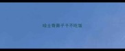 哈士奇鼻子干不吃饭