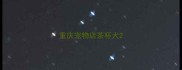 重庆宠物店茶杯犬