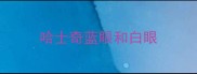 哈士奇蓝眼和白眼