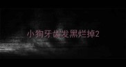 小狗牙齿发黑烂掉