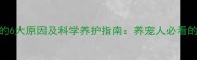 哈士奇频繁脱毛的6大原因及科学养护指南养宠人必看的冬季护理全攻略
