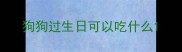 狗狗过生日可以吃什么