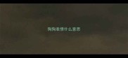 狗狗表情什么意思