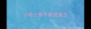 小哈士奇不能进笼子