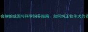 边牧整吞食物的成因与科学饲养指南如何纠正牧羊犬的吞咽习惯