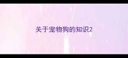 关于宠物狗的知识