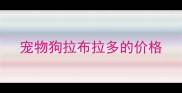宠物狗拉布拉多的价格