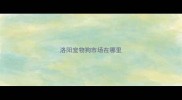 洛阳宠物狗市场在哪里