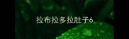 拉布拉多拉肚子6