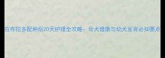 拉布拉多配种后20天护理全攻略母犬健康与幼犬发育必知要点
