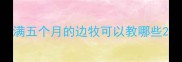 满五个月的边牧可以教哪些
