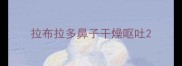 拉布拉多鼻子干燥呕吐
