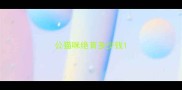 公猫咪绝育多少钱