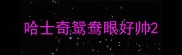 哈士奇鸳鸯眼好帅