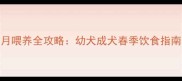 拉布拉多2月喂养全攻略幼犬成犬春季饮食指南附食谱