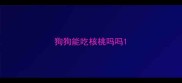狗狗能吃核桃吗吗